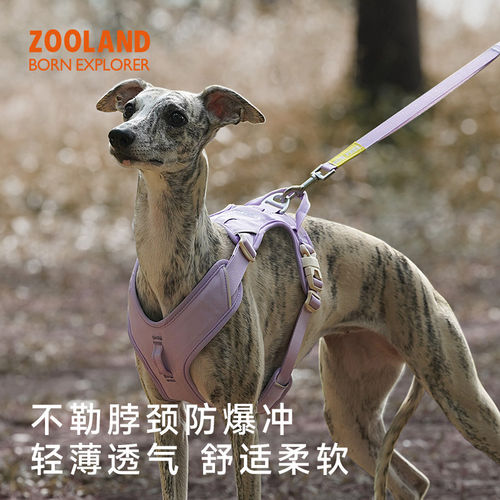 zooland狗胸背牵引绳小中大型犬