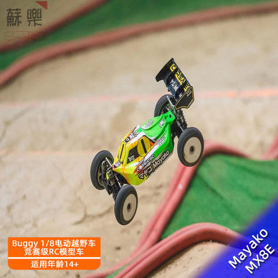 MX8EBuggy1/8电动越野车