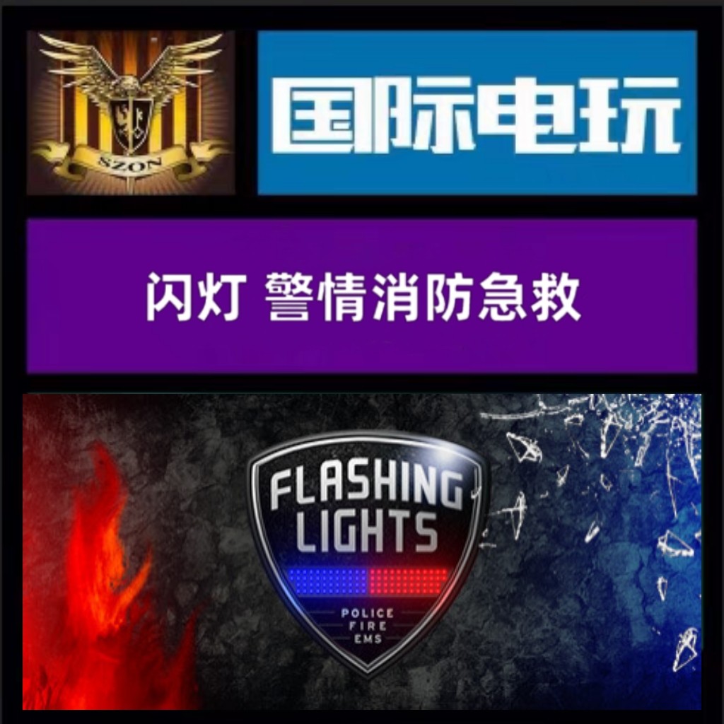 SteamPC正版 全球key 闪灯 警情消防急救 Flashing Lights:Police - 实物图