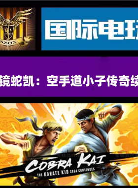 Steam PC游戏Cobra Kai: The Karate Kid Saga Continues 全球key