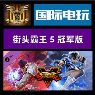 全球key 游戏 街头霸王5冠军版 Street Steam Fighter PC正版