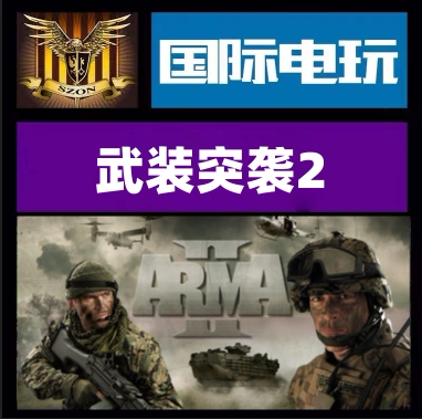 Stea没Arma2正版游戏