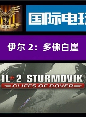 Steam PC正版 全球key 伊尔2:多佛白崖 IL-2 Sturmovik 激活码