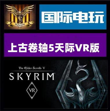 Steam PC正版游戏 The Elder Scrolls V: Skyrim VR 全球key激活