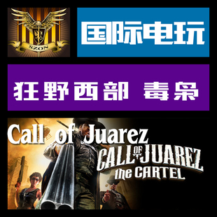 Steam PC正版游戏 key 狂野西部 毒枭 Call of Juarez The Cartel