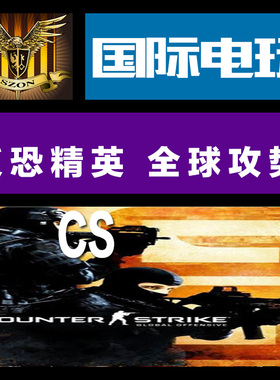 Steam PC正版游戏 key 反恐精英 全球攻势 CS Global Offensive