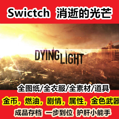 NS Switch消逝的光芒存档修改 等级 技能 钱 物品 道具 素材 护肝