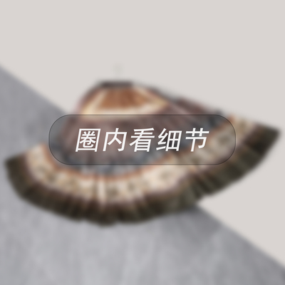 O内看细节 民族风 棉+真丝内里 定位印花松紧腰大摆半身裙A字裙