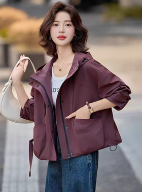 5803 春秋新款时尚洋气显瘦连帽上衣短款工装外套LY