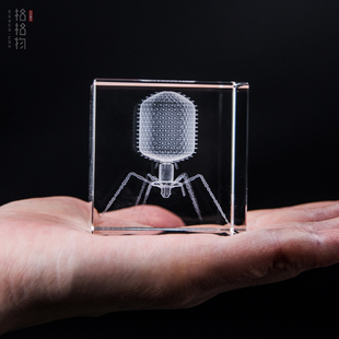 格格物噬菌体微生物水晶内雕立方体桌面精致摆件朋友创意礼物收藏