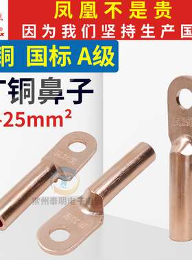 国标凤凰DT25mm平方电线电缆闭口铜鼻子接头线耳接线端子压接端头