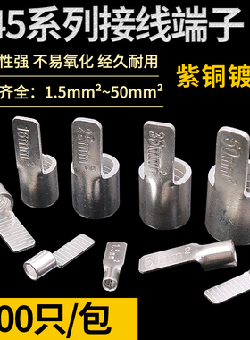 冷压端子C45紫铜插片DZ47空开插针10片型接线铜鼻子1.5 6 50平方4