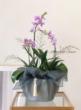 礼品包布 送礼包装 韩国进口单层砖石纱号H-P11072