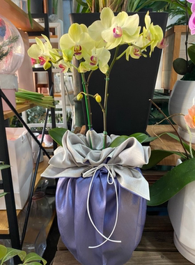 礼品包布 送礼包装 韩国进口双层石垃泊150cm18+11066号H-P10936