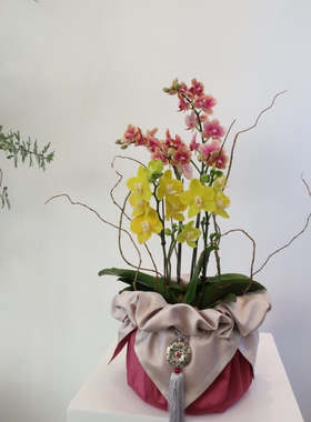 礼品包布 送礼包装 韩国进口双层石垃泊150cm7+18号H-P10893