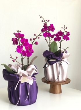 礼品包布 送礼包装 韩国进口双层石垃泊150cm34+奥105号H-P10854