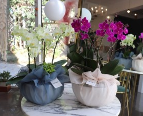 礼品包布 送礼包装 韩国进口单层砖石纱号H-P11078