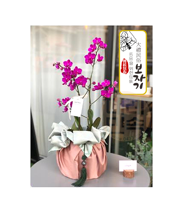 进口礼品包布送礼包装