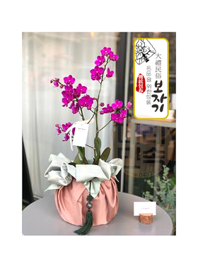 礼品包布 送礼包装 双层（150cm35+42）H-P03812