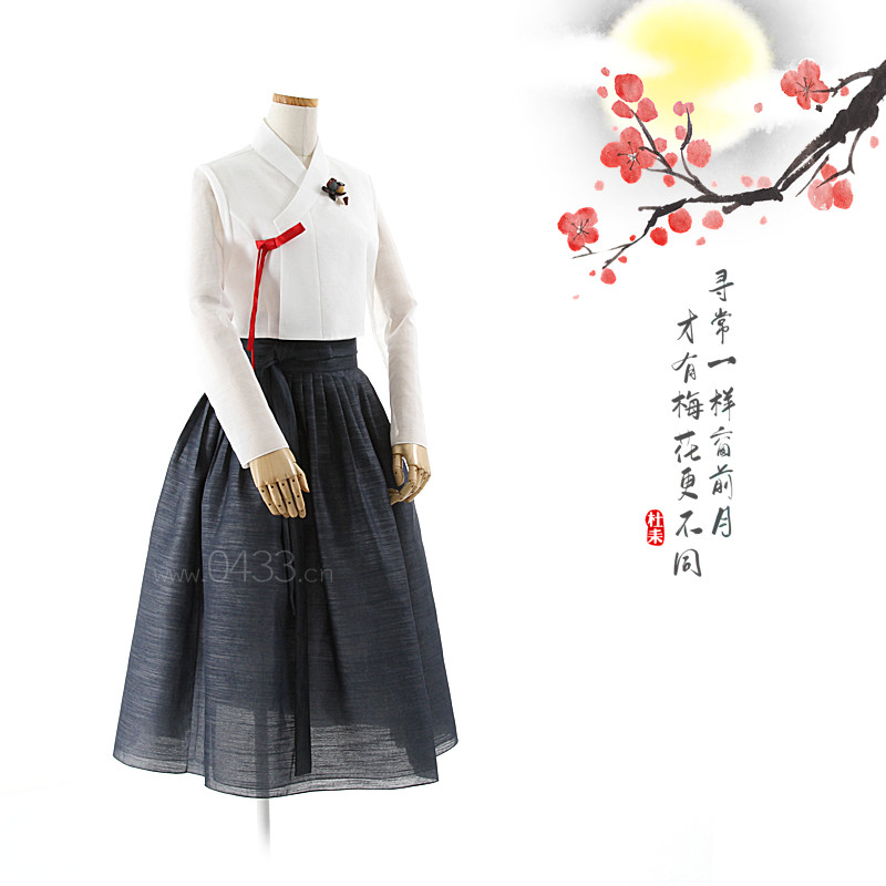 韩国原装进口生活韩服朝鲜族民族服装平时穿的改良韩服H-S10531图片