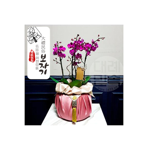 礼品包布送礼包装韩国