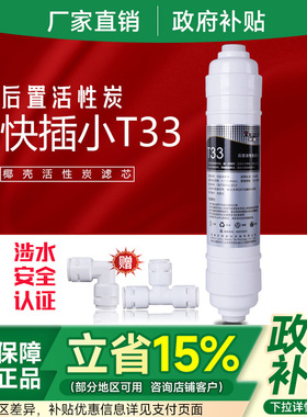 后置活性炭大T33韩式快接一体10寸滤芯商用家用纯水净水机2分快接