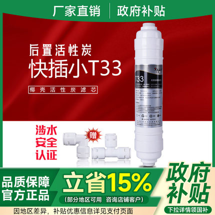 乐透后置T33第5级椰壳活性炭净水器改善口感滤芯2分快插小T33配件