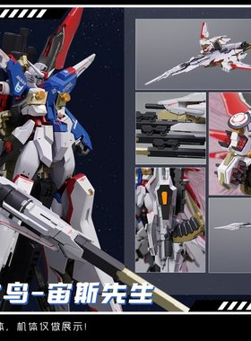 真愤怒之鸟 ZAFT 迪斯尼 MR样式 预喷涂 拼装模型 宙斯先生