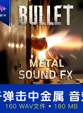 子弹击中铁板/金属/钢材/装甲音效 Bullet Sound FX - Metal