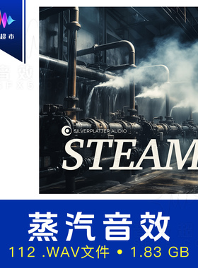 蒸汽火车/熨斗水汽热气/工业环境音效 Silverplatter Audio Steam