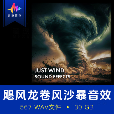飓风龙卷风沙尘暴台风气旋声音设计音效 Sound Ideas Just Wind