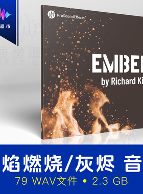火焰燃烧噼啪声篝火余烬火灾音效素材 Pro Sound Effects Ember