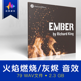 火焰燃烧噼啪声篝火余烬火灾音效素材 Pro Sound Effects Ember