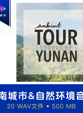 云南城市山林古寺自然环境音效 Ambient Tour Sounds of Yunan