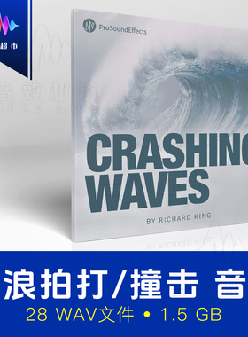 浪花拍岸/飞溅/礁石撞击音效 Pro Sound Effects Crashing Waves
