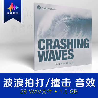浪花拍岸/飞溅/礁石撞击音效 Pro Sound Effects Crashing Waves