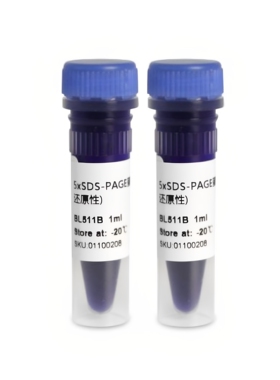 Biosharp蛋白上样缓冲液BL511/BL530 5×非还原/无气味SDS-PAGE