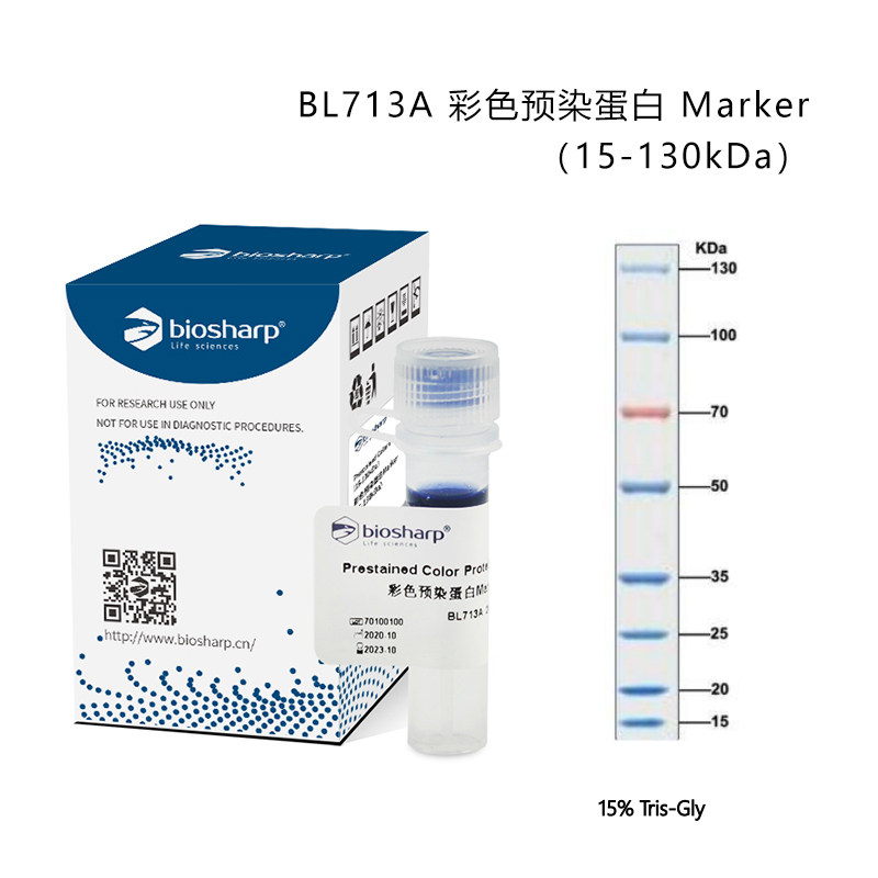 biosharp 条带彩色预染蛋白500ul实验试剂10-180kDa BL712A实验室,工业油品/胶粘/化学/实验室用品,试剂,淘宝优惠券,粉丝福利购,淘宝优惠卷