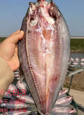 风干翘嘴鱼湖南岳阳特产阳干大白刁刁子鱼农家腌制半成品咸鱼腊鱼