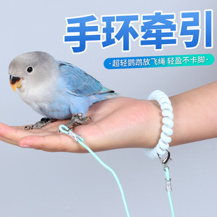 鹦鹉放飞绳溜鸟绳鸟脚环小鸟用品外出训练遛鸟绳弹力玄凤牵引绳子