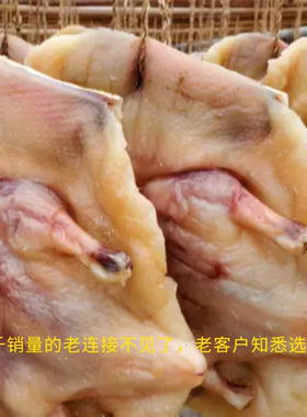 包邮方咸仔方建和正宗东莞虎门白沙油鸭东莞年货非遗评选厂家