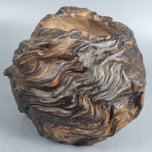 天然随形多肉原生枯木收纳聚宝盆