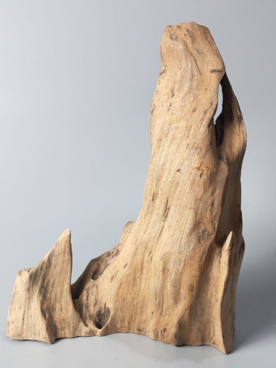 천연 나무 옹이가 있는 나무 뿌리 조각 창의적인 분재 수조 ROCKERY 작은 장식품 천연 질감 가정 장식
