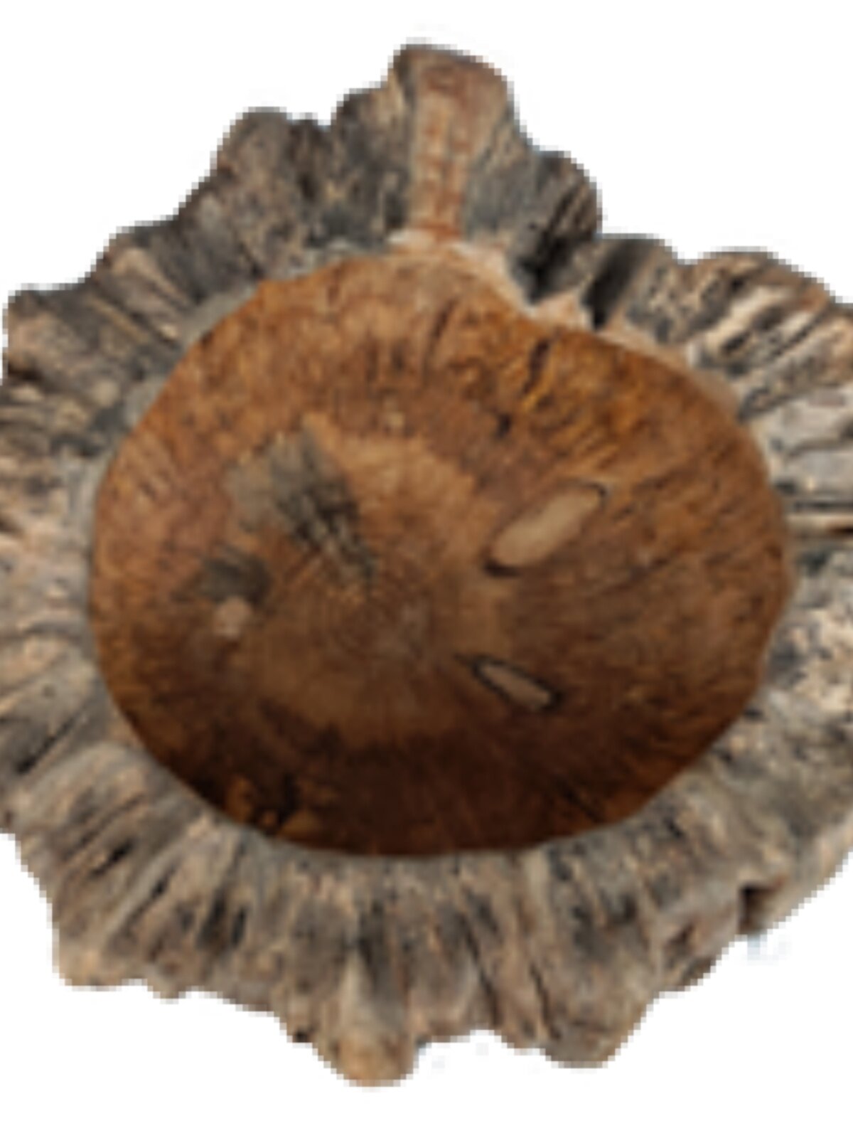 NATURAL PINE TUMOR SUCCULENT DEAD WOOD FLOWER POT KEY STORAGE CORNUCOPIA TREE ROOT CARVING CREATIVE HANDMADE PIGGY BANK