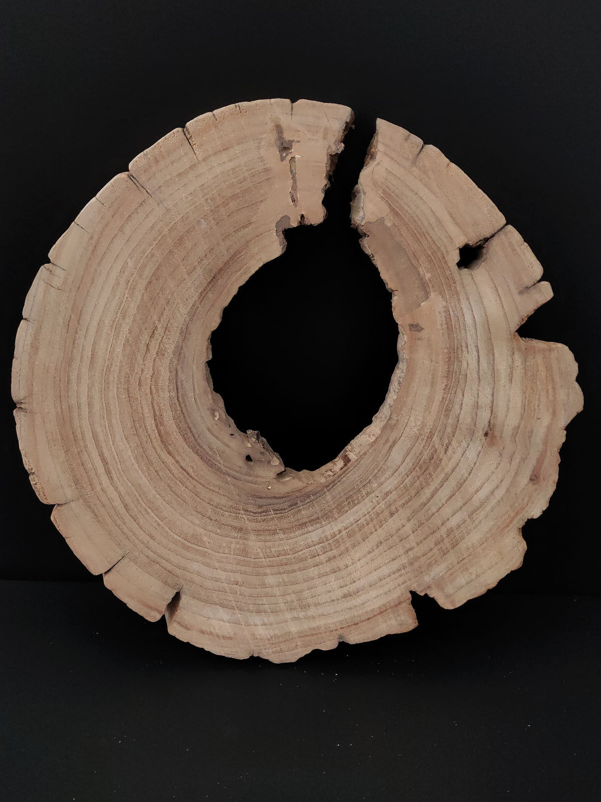 [618 SOLID WOOD TEXTURE] WOOD ORNAMENTS UNIQUE TEXTURES INGENIOUS DECORATIONS HOME GIFTS