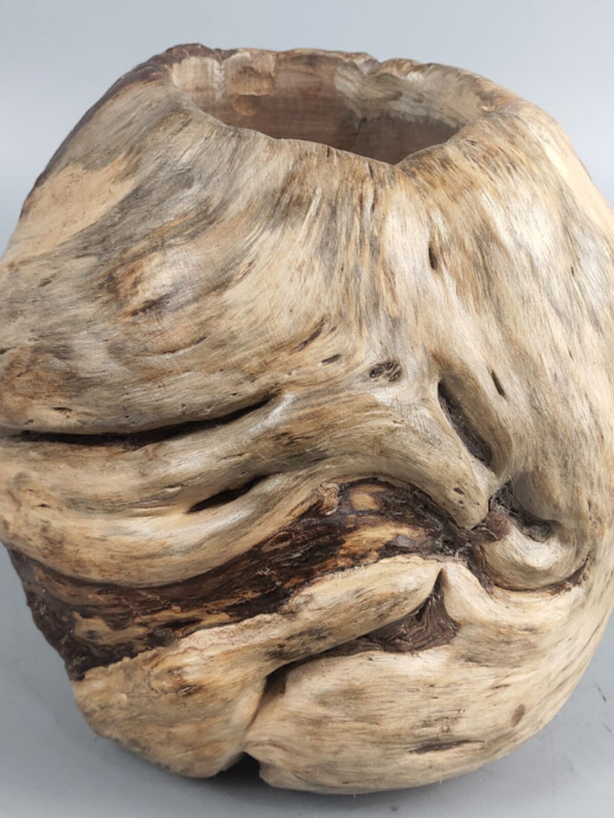 NATURAL PINE TUMOR SUCCULENT DEAD WOOD FLOWER POT KEY STORAGE CORNUCOPIA TREE ROOT CARVING CREATIVE HANDMADE PIGGY BANK