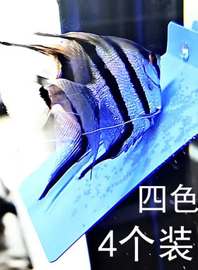 水族宠物用品观赏鱼产卵板鱼孵化