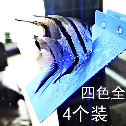 水族宠物用品用具观赏鱼孵化器七彩燕鱼繁殖产卵板罐四色鱼缸设备