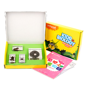 草地上的食物链幼儿早教园儿童科学实验室科普包埋标本教学