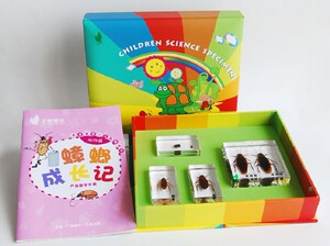 好吃的坚果幼儿早教园儿童科学实验室昆虫科普包埋标本